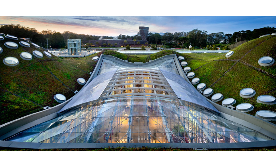 CALIFORNIA ACADEMY OF SCIENCES,     Retractable Roof: Walter P. Moore and Associates/Uni-Systems