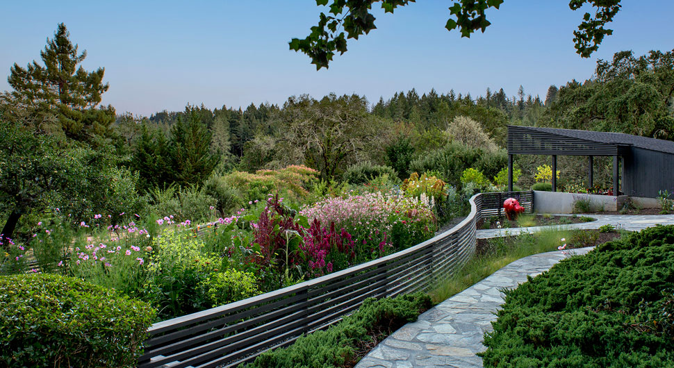 SONOMA RETREAT, Andrew Mann Architecture, Angus-McCaffrey Interior Design